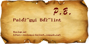 Palágyi Bálint névjegykártya